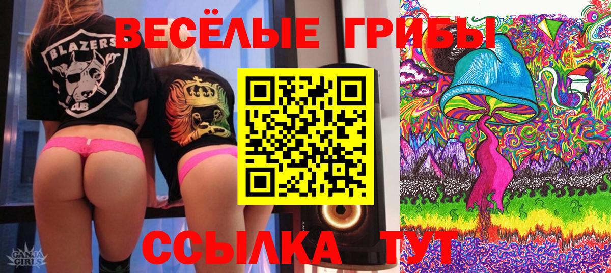 закладки  Галлюциногенные грибы Magic Shrooms  Вход с VPN  Медногорск 