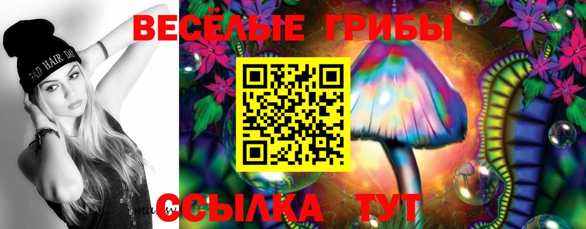 Галлюциногенные грибы мухоморы Медногорск